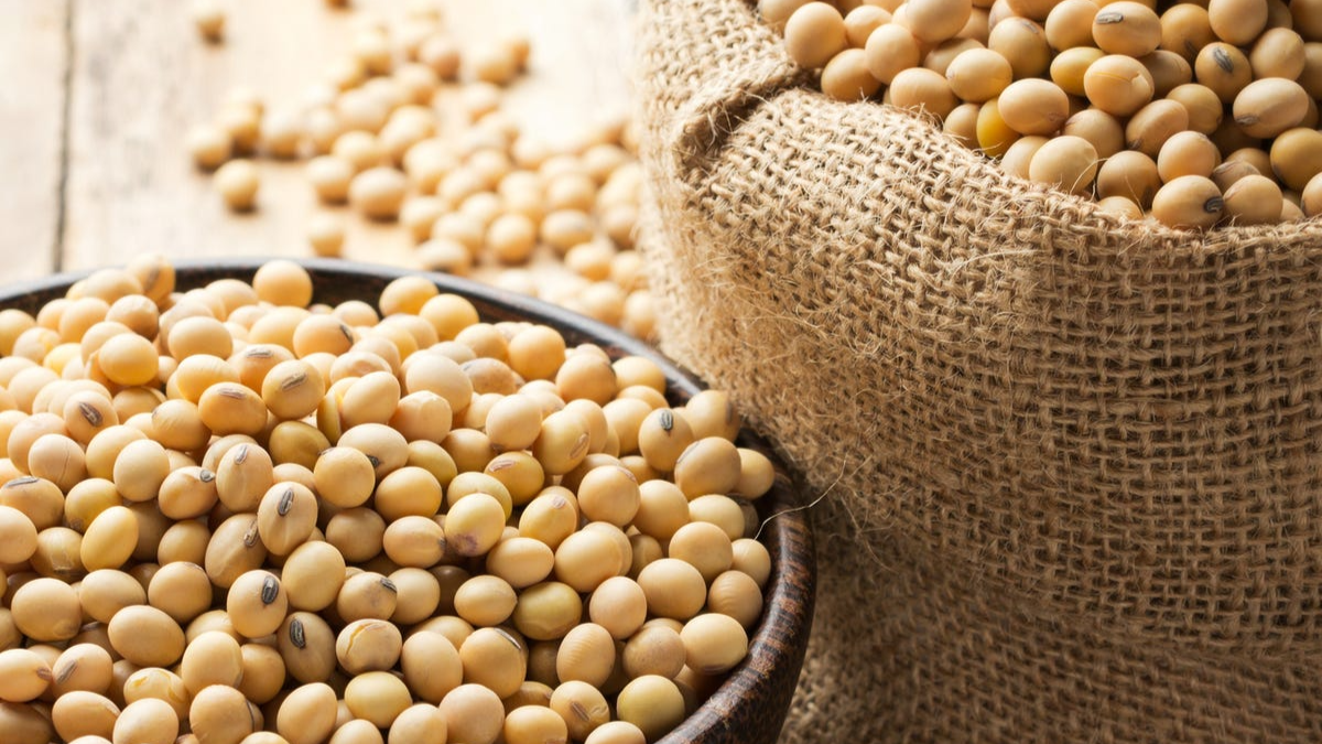 soy-beans-royalty-free-image-514